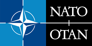 La Nato, ed il paradosso di Vladimir Putin